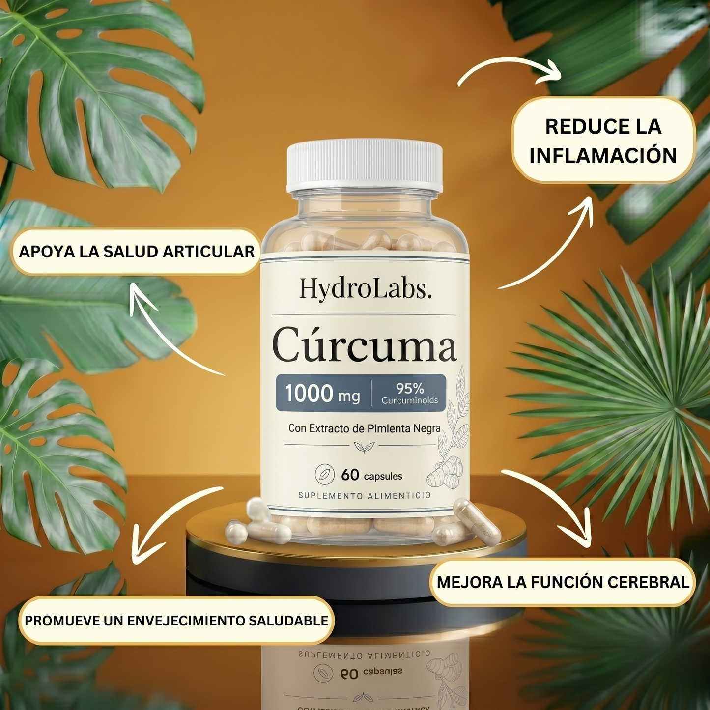 HydroLabs Complejo de Cúrcuma - 1 Botellas (30 Días)