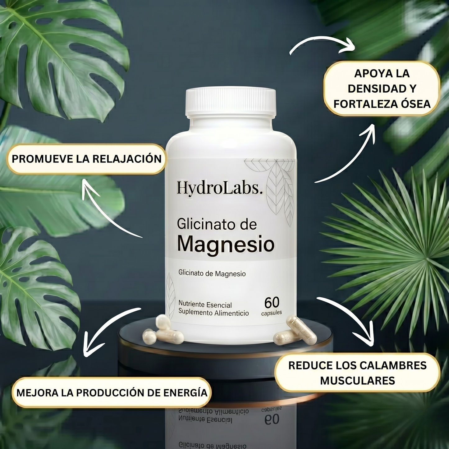 HydroLabs Magnesio Glicinato — 1 Botellas (30 Días)